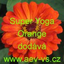 Ost&aacute;lka sličn&aacute;, lep&aacute; Super Yoga Orange