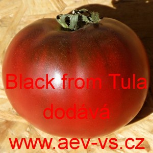 Rajče tyčkov&eacute; Black from Tula
