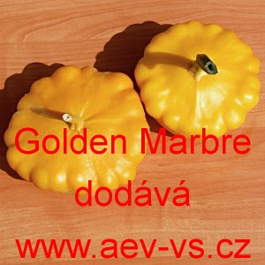 Patizon (Tykev obecn&aacute;) Golden Marbre