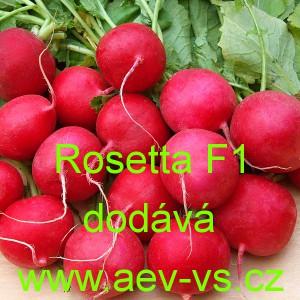 Ředkvička hybridn&iacute; Rosetta F1