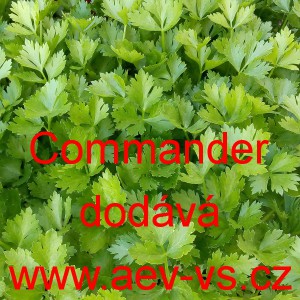 Koriandr set&yacute; naťov&yacute; Commander