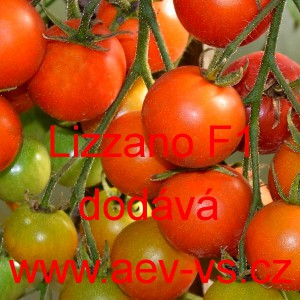 Rajče balkonov&eacute; hybridn&iacute; Lizzano F1