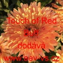 Měs&iacute;ček l&eacute;kařsk&yacute; Touch of Red Buff