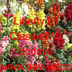 Hled&iacute;k vět&scaron;&iacute; Liberty F1 Classic Mix