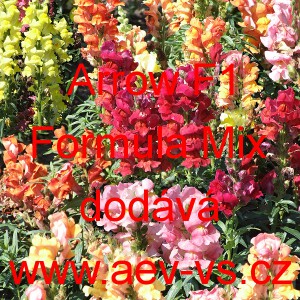 Hled&iacute;k vět&scaron;&iacute; Arrow F1 Formula Mix