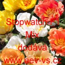 &Scaron;rucha velkokvět&aacute; Stopwatch F1 Mix