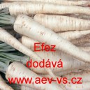 Petržel kořenov&aacute; Efez