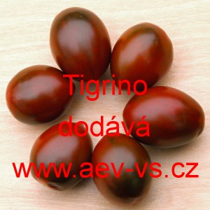 Rajče tyčkov&eacute; Tigrino