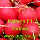Ředkvička hybridn&iacute; celoročn&iacute; Katrena F1