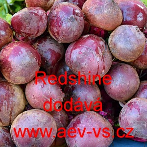 Řepa červen&aacute; sal&aacute;tov&aacute; Redshine