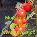 Rajče tyčkov&eacute; hybridn&iacute; Monaline F1