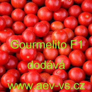 Rajče tyčkov&eacute; hybridn&iacute; Gourmelito F1