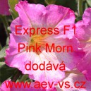 Pet&uacute;nie velkokvět&aacute; Express F1 Pink Morn