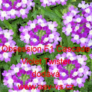 Spor&yacute;&scaron; zahradn&iacute;, zkř&iacute;žen&yacute; Obsession F1 Cascade Violet Twister