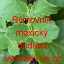 R&yacute;movn&iacute;k mexick&yacute;, molice