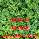 Petržel naťov&aacute; kadeřav&aacute; Marunka