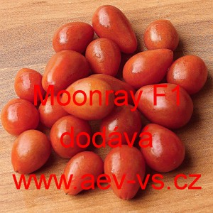 Rajče tyčkov&eacute; hybridn&iacute; Moonray F1