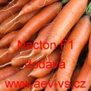 Mrkev obecn&aacute; hybridn&iacute; Nacton F1