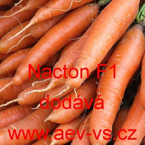 Mrkev obecn&aacute; hybridn&iacute; Nacton F1