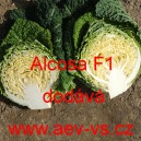 Kapusta hl&aacute;vkov&aacute; hybridn&iacute; Alcosa F1