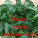 Kozl&iacute;ček poln&iacute;ček Masse