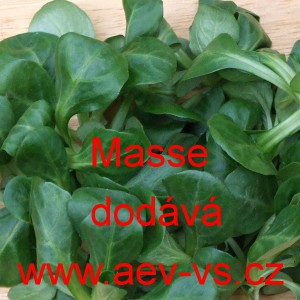 Kozl&iacute;ček poln&iacute;ček Masse