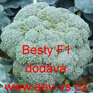 Brokolice hybridn&iacute; Besty F1