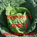 Kapusta hl&aacute;vkov&aacute; hybridn&iacute; Atlanum F1