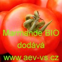 Rajče tyčkov&eacute; Marmande BIO