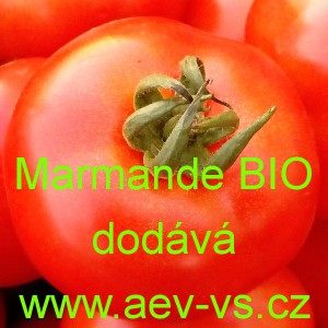 Rajče tyčkov&eacute; Marmande BIO