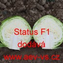 Zel&iacute; hl&aacute;vkov&eacute; b&iacute;l&eacute; hybridn&iacute; Status F1