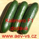 Okurka set&aacute; sal&aacute;tov&aacute; hybridn&iacute; "hadovka" do sklen&iacute;ku Kalimero F1