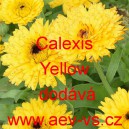 Měs&iacute;ček l&eacute;kařsk&yacute; Calexis Yellow