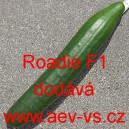 Okurka set&aacute; sal&aacute;tov&aacute; hybridn&iacute; "hadovka" do sklen&iacute;ku Roadie F1