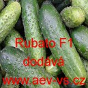 Okurka set&aacute; nakl&aacute;dačka hybridn&iacute; partenokarpick&aacute; hrub&aacute; Rubato F1