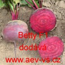 Řepa červen&aacute; sal&aacute;tov&aacute; hybridn&iacute; Betty F1