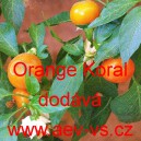 Paprika ročn&iacute; zeleninov&aacute; p&aacute;liv&aacute; kulat&aacute; Orange Koral