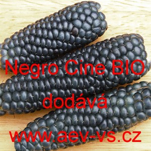 Kukuřice pukancov&aacute; Negro Cine BIO