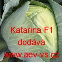 Zel&iacute; hl&aacute;vkov&eacute; b&iacute;l&eacute; hybridn&iacute; Katarina F1