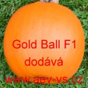 Tykev obecn&aacute; cuketa hybridn&iacute; kulat&aacute; Gold Ball F1