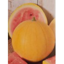 Meloun vodn&iacute; Zloto Wolicy F1