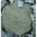 Brokolice hybridn&iacute; Mclaren