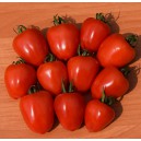 Rajče tyčkov&eacute; hybridn&iacute; Dunistar F1 Novinka