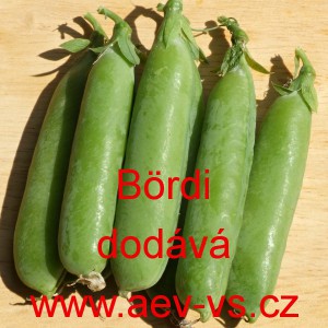 Hr&aacute;ch set&yacute; dřeňov&yacute; B&ouml;rdi