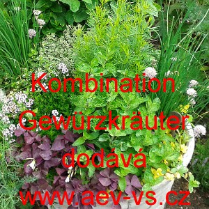 Směs bylinek do kuchyně Kombination Gew&uuml;rzkr&auml;uter 