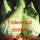 Zel&iacute; hl&aacute;vkov&eacute; b&iacute;l&eacute; &scaron;pičat&eacute; Filderkraut