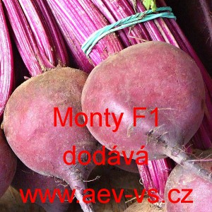 Řepa červen&aacute; sal&aacute;tov&aacute; Monty F1