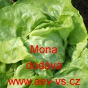 Sal&aacute;t hl&aacute;vkov&yacute; Mona