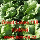 Sal&aacute;t hl&aacute;vkov&yacute; ledov&yacute; Great Lakes 118