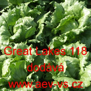 Sal&aacute;t hl&aacute;vkov&yacute; ledov&yacute; Great Lakes 118